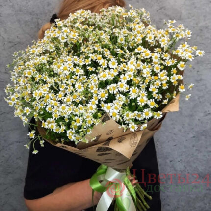 Букет из 25 ромашек