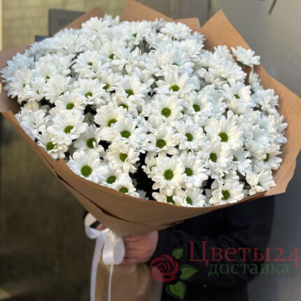 Букет из 15 кустовых хризантем