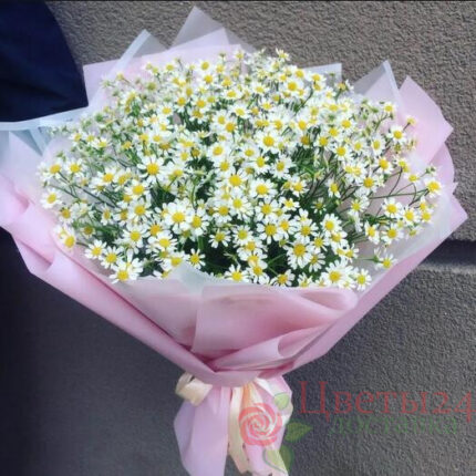 Букет из 25 ромашек