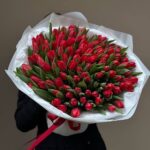 101 красный тюльпан в белой упаковке