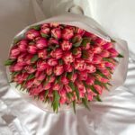 101 пионовидный тюльпан Колумбус