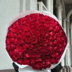 Роза «Мадам Ред» 151