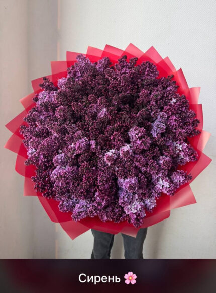 Букет из 75 сиреней