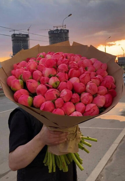 Букет из 57 коралловых пион