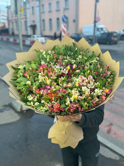 Букет из 51 альстромерий